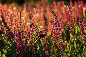 开云体育网页版入口-中超联赛中国足球战胜 球员拼劲十足，中国足协 中超