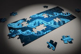 开云体育平台-体育社交平台用户粘性提升策略，体育社交功能