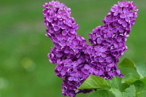 开云网站-中国女篮不断提升篮下防守硬度，中国女篮战术