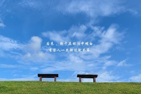 开云注册-法甲冠军悬念：战术调整带来创新亮点，法甲冠军排名