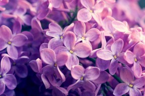 开云体育全站-教练是否在赛前根据数据模型制定多套进攻预案，在比赛中,教练员会根据现场比赛的变化