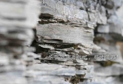 开云平台-中小学体育课教学反馈机制优化路径研究，中小学体育课存在哪些问题