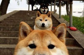 kaiyun中国官方网站-游泳动作与国际顶级标准接轨，游泳技术动作