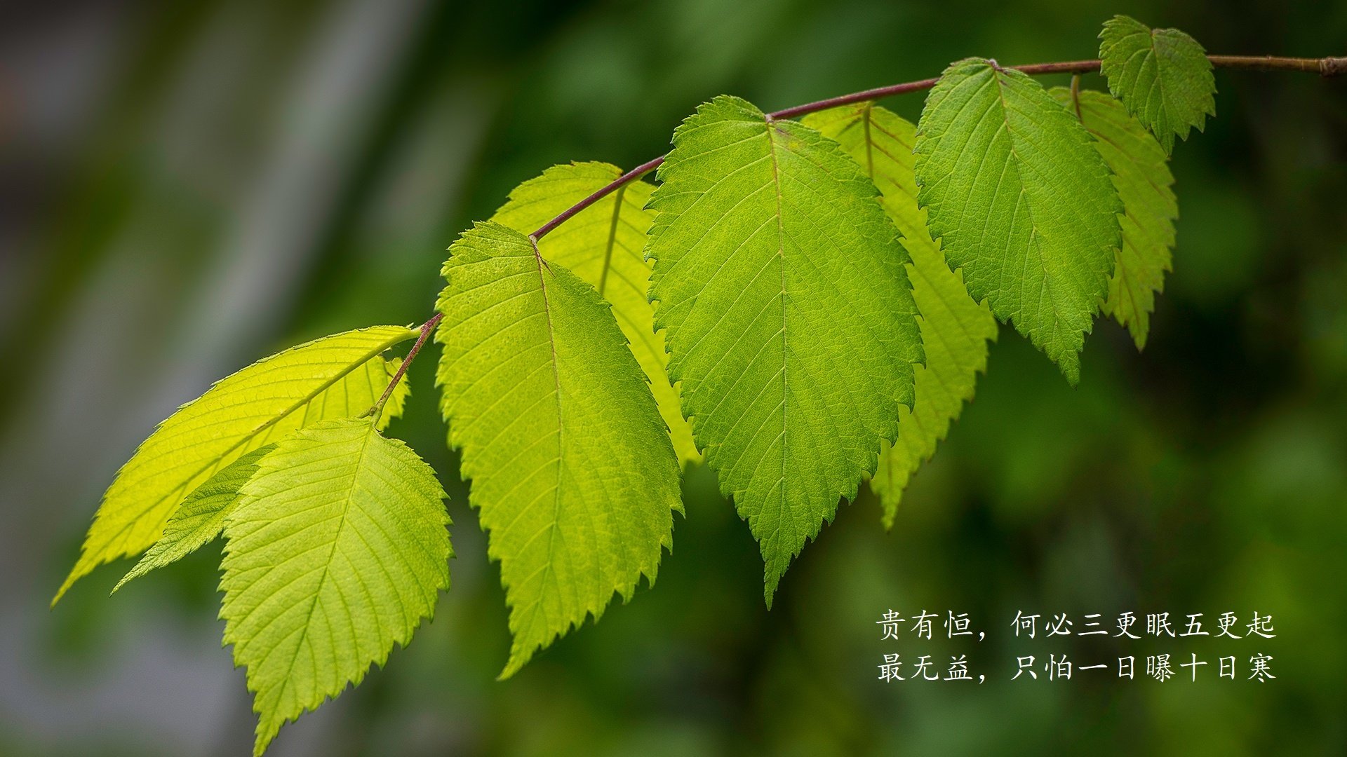 CBA球队集体南下拉练 适应高温训练挑战，cba下面的联赛