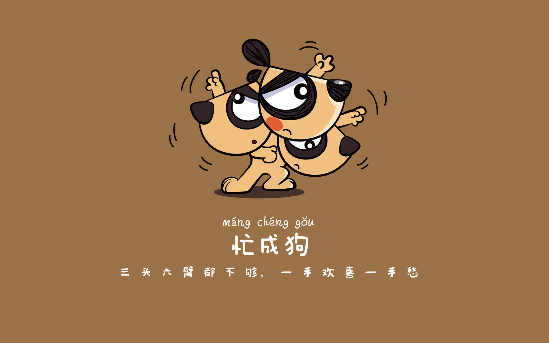 “SHO-CHAN Run 2025：香港跑者的速度盛宴”