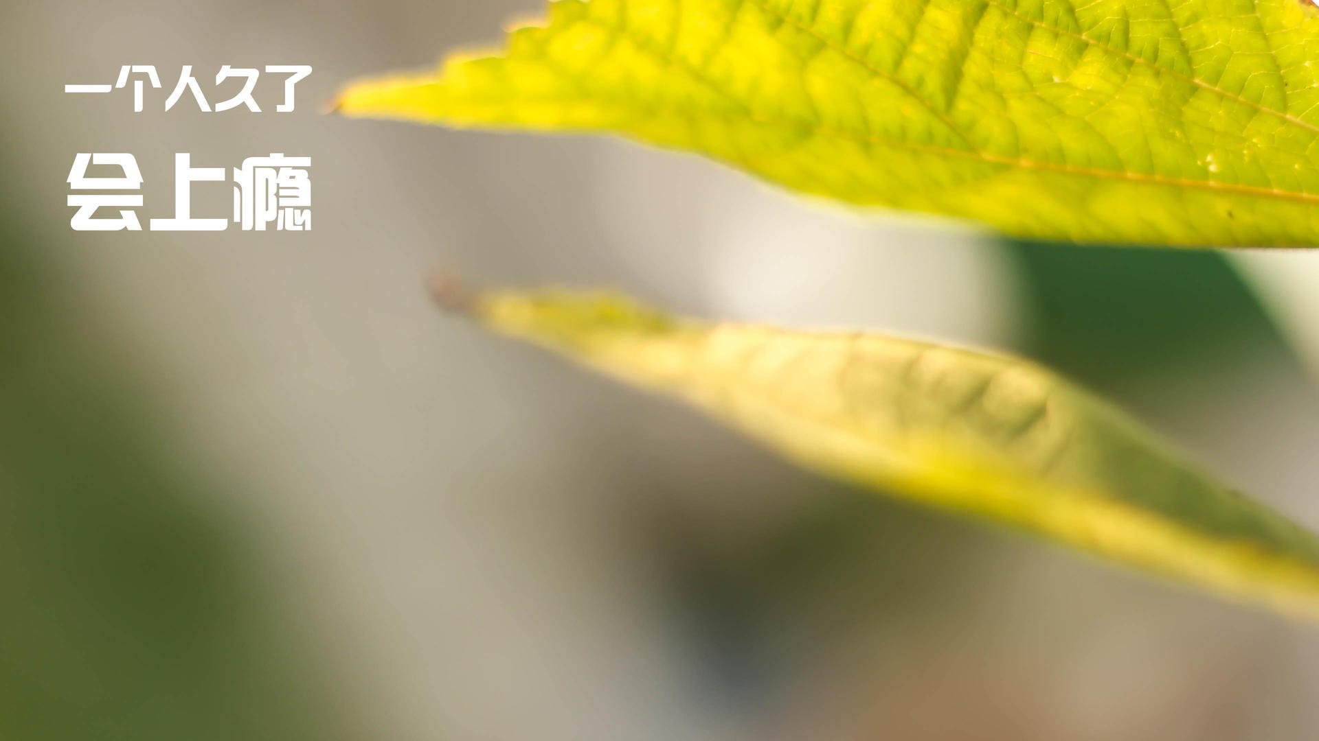 混合接力赛场中立代表队B展现潜力，混合接力比赛时间